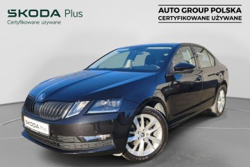 Style + Pakiet Amazing, Tempomat, Kamera, Podgrzewane fotele, Salon PL