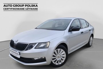 Active + Pakiet Amazing, Czujniki parkowania, Bezwypadkowy, Salon PL.