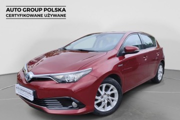 Hybrid Comfort Lift, Po dużym serwisie, Kamera cofania, Salon Polska